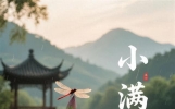 小满未满，方是人间最好时节，10经典诗词值得一读
