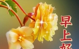 简短的早上好问候语精选，温馨暖心的早安短句，愿你一生平安