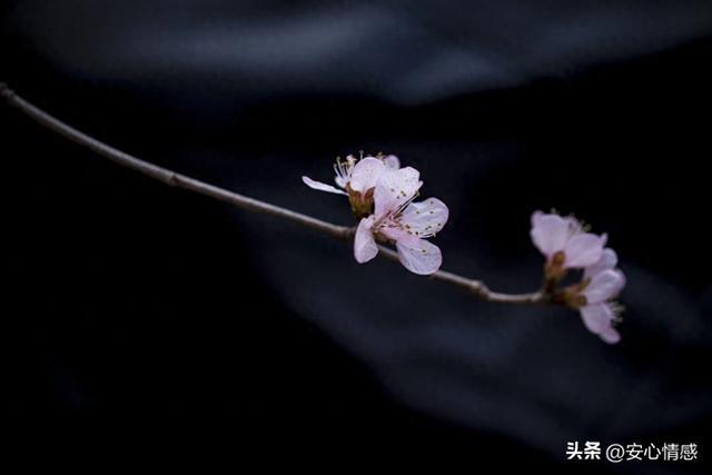 搞定中年女人，不需要天天联系，做好一件事她就离不开你