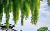 真正的友情，是岁月冲不散、距离隔不断