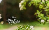 早安唯美祝福分享。适合发朋友圈的，阳光温暖的句子。