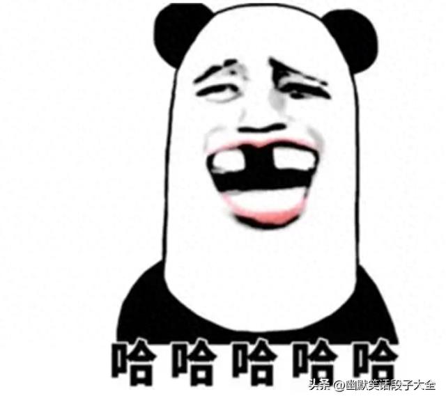 这才叫经典笑话，笑点满满，笑得肚子痛，发给大家解解压，笑死了