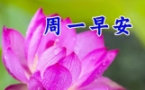 新的一周快乐祝福语，简单一句话，周一早安吉祥！
