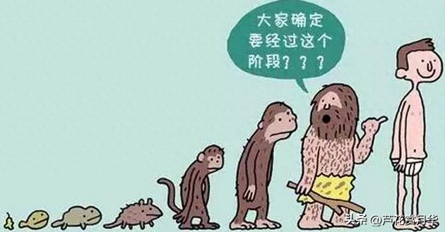 “笑话都要去往何处”