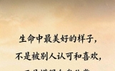 很有道理的人生感悟句子，看完受益终生