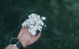 5个亲情幽默故事，感悟太深了