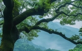 满满正能量的励志句子，句句实用，激励人生