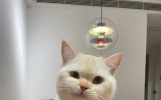 经典幽默笑话，都是可以笑一辈子的段子，让你笑到疯狂，笑到失态