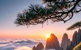 100句情景诗词，寓情于景，惊艳千年