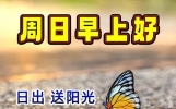 早上好新版的祝福语，温暖人心的唯美短句子，健康快乐，平安一生