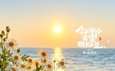 分享一句唯美而治愈的句子。温柔的光亮总会抵达。