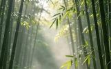 恭喜刷到此文的你：人生最难的一关已渡，接下来只管迎接好运
