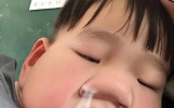 这50个趣味段子，看完忍不住笑出声
