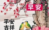 6月14日早安美好生活的唯美句子，清晨每日祝福语，顺风顺水