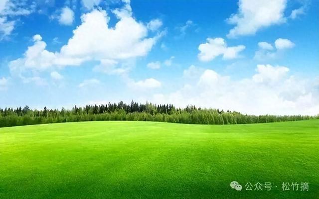 16句感悟人生的精辟句子，看完受益一生