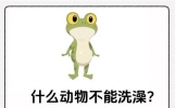 全网爆火青蛙讲鸡梗拆解：6段谐音冷笑话，藏着接地气的文字趣味