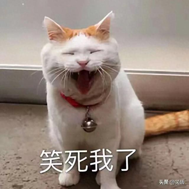 12个让你笑到肚子疼的爆笑幽默笑话，个个让你笑哈哈，笑到抽筋