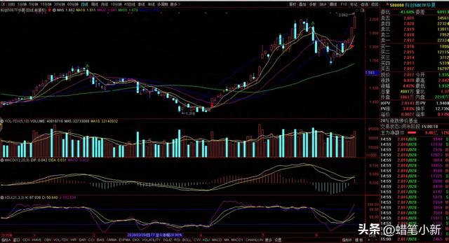 我清仓了沪深300期权，全仓转向科创50，说说我的真实理由