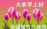 早上好朋友！9张最美早晨好问候表情图片带字温馨 最新版早安短信问候祝福语