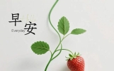 早上好朋友圈文案，宽心境，有温度句子，平和又安然