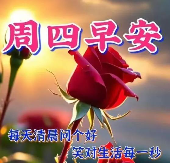6月25日今日周四，星期四问候祝福语大全，祝你早安快乐表情包