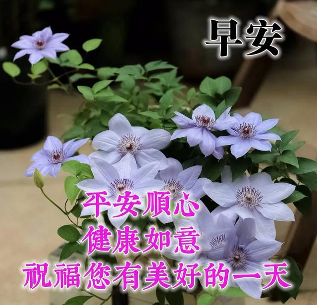 2026夏季唯美早上好祝福图片带字 早安问候语短信大全