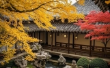 巅峰之作！这6首刻进DNA的诗词，道尽了中国人骨子里的浪漫