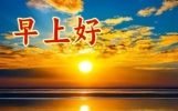 暖心清晨友谊问候短语，早晨好温馨祝福语，愿你今天顺心如意
