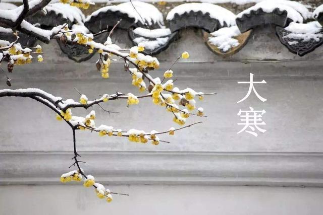 大寒文案 大寒节气祝福语