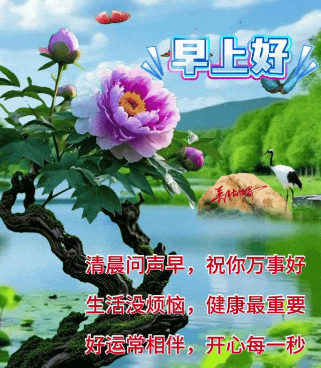 6张夏天特别漂亮的早上好问候创意表情祝福图文，温馨早安问候祝福晨语短信
