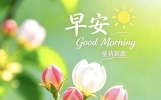 “适合早上发朋友圈，走心励志的早安句子～”