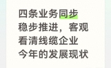 四条业务同步稳步推进，客观看清线缆企业今年的发展现状