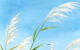 一眼惊艳的唯美句子：岚光缓渡，平尽心上波澜