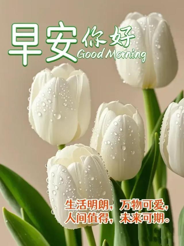 最新版早上好短语句子祝福美图精选！问候朋友，情谊永存！