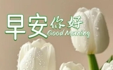 最新版早上好短语句子祝福美图精选！问候朋友，情谊永存！