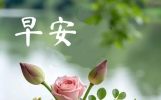 一组适合早上发朋友圈暖心至极的句子，早安吉祥！07.03