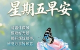 早安美好-特别漂亮精美早安图片，温馨问候朋友暖心句子