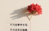 一眼沦陷的唯美走心句子，字里行间藏着通透心境，越读越舒心