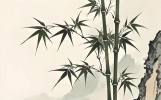 清朝最经典的100首诗词（珍藏版）
