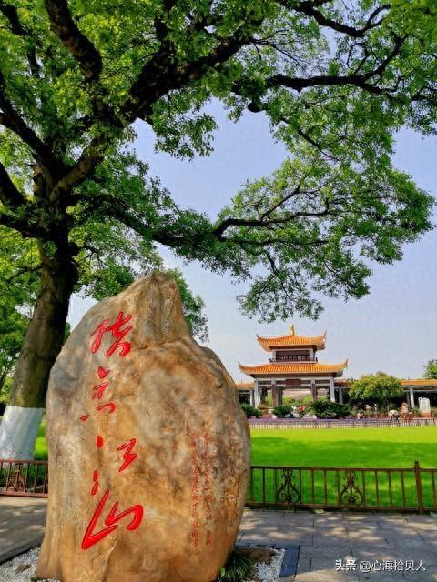 情感故事：橘子树的迟来欢喜
