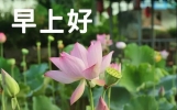 夏季早安问候祝福语短信 夏天天热早上好祝福图片