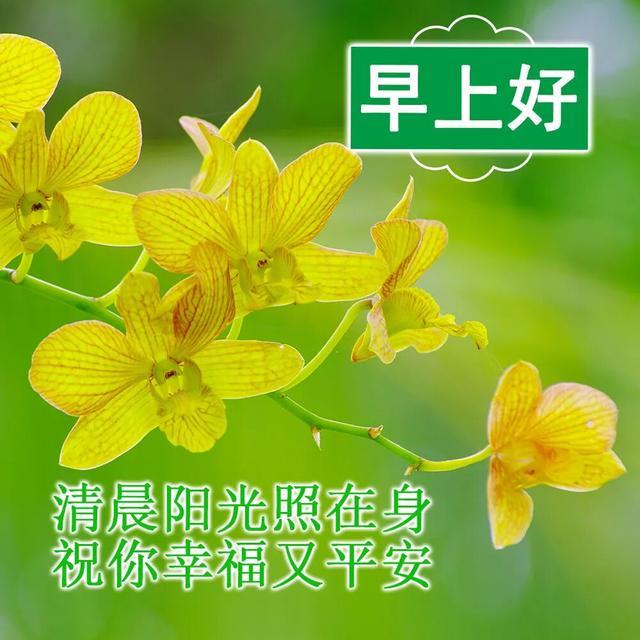 早上好朋友，早安问候图片带字唯美早安问候语，祝您身体健康