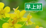 早上好朋友，早安问候图片带字唯美早安问候语，祝您身体健康