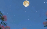人生感悟短句，总结的太精辟了！