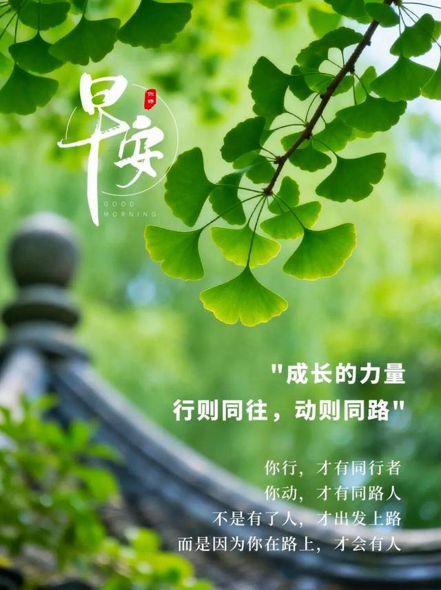 暖心问候让人醉，浓浓祝福比金贵。每天短信祝愿，健康快乐第一位