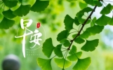 暖心问候让人醉，浓浓祝福比金贵。每天短信祝愿，健康快乐第一位