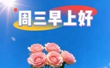 星期三早晨祝福朋友的早安暖心说说图片 早上好祝福问候语句子带动态美图