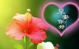 最新群发早上好经典早安吉祥问候语，隔屏问候传心意