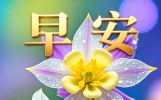 7月16日早上好!早晨好暖心的早安问候祝福语图片带字，早安问候朋友的温馨问候语录