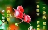 早上好，送一份真诚，一路相伴，愿友谊地久天长！早安